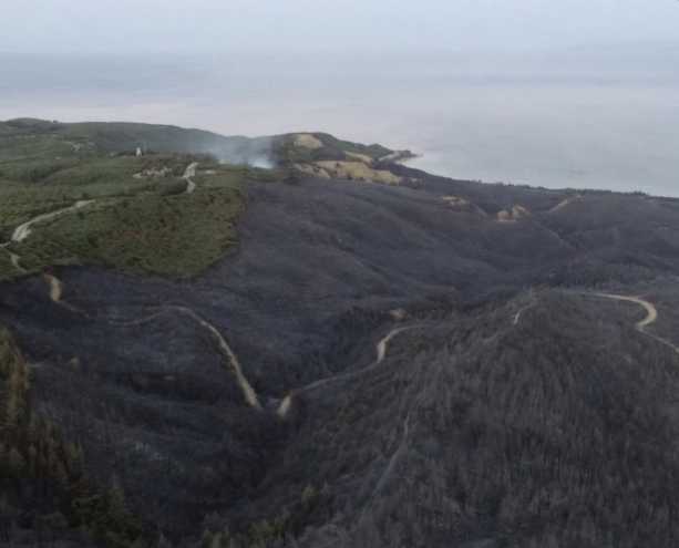Orman yangınlarının 69’u kontrol altına alındı, 6 bölgede çalışma sürüyor
