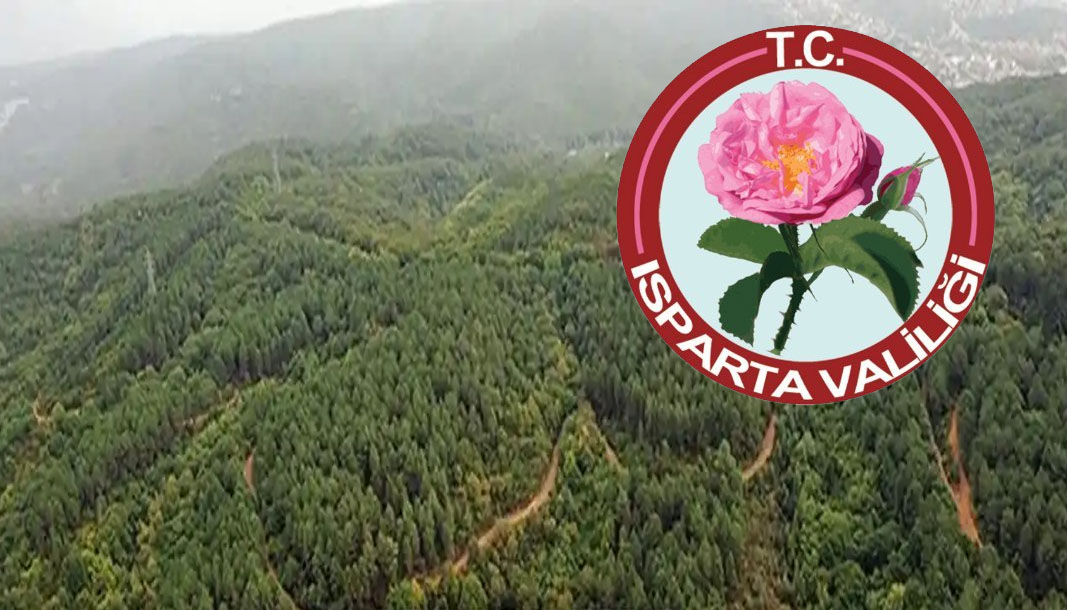 Isparta Valiliğinden ağaç katliamı haberleri üzerine açıklama