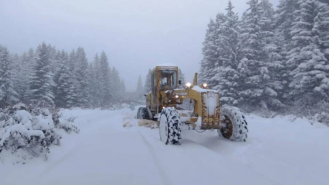 Ordu’da kar yağışı nedeniyle mahsur kalan 4 kişi için arama kurtarma çalışmaları sürüyor