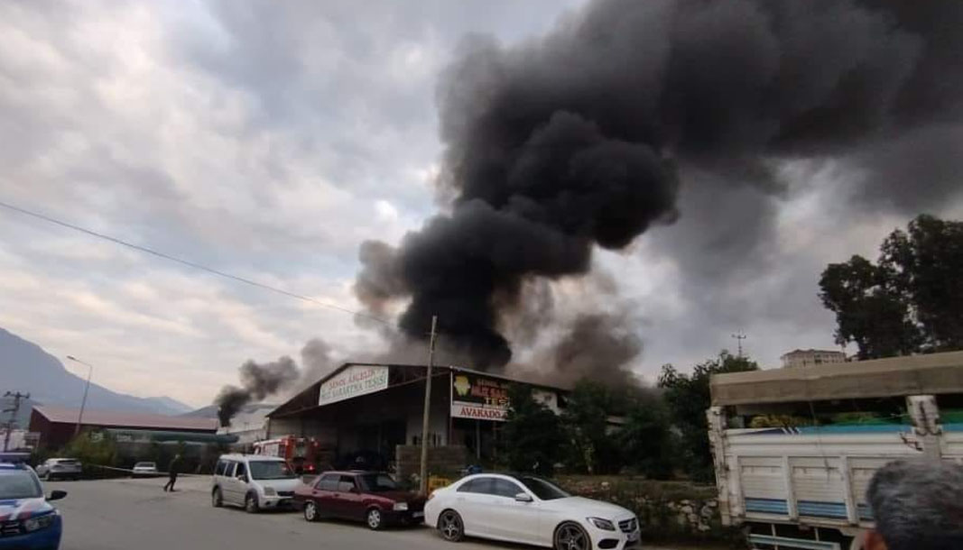 Mobilya deposu yandı, alevler muz ve çiçek serasına sıçradı