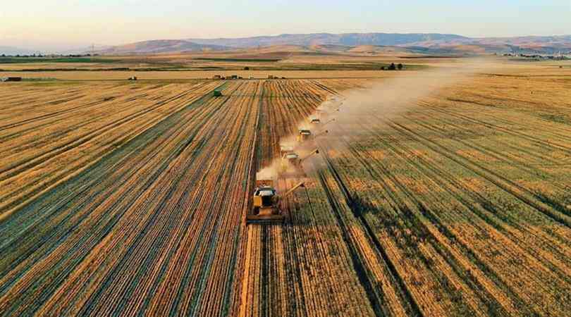 Çiftçilere 1,4 milyar TL destek ödemesi yapılacak