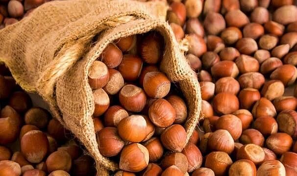 Türkiye’nin fındık ihracatında ilk sıra Almanya’nın – Birlik Haber Ajansı