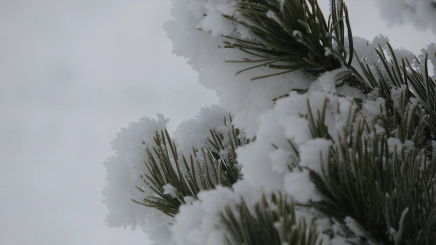 Başkent'te yoğun kar bekleniyor!