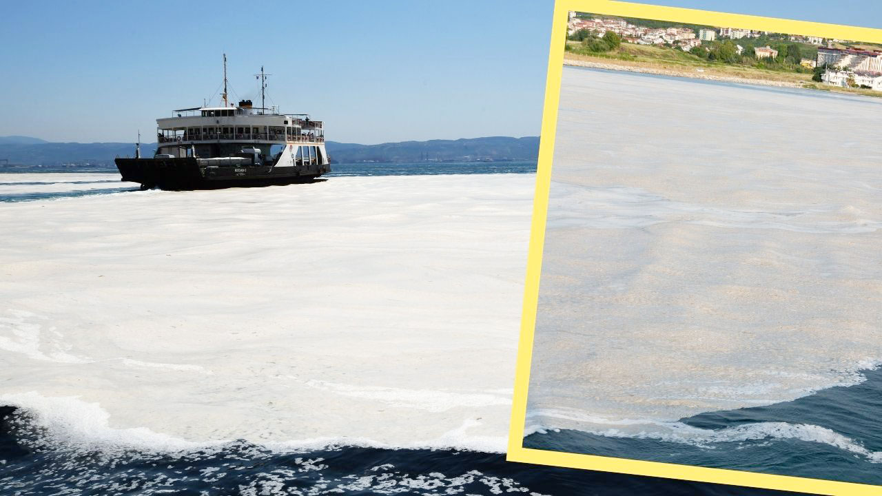 Bakanlık’tan Marmara’ya kıyısı olan belediyelere müsilaj uyarısı! – Birlik Haber Ajansı