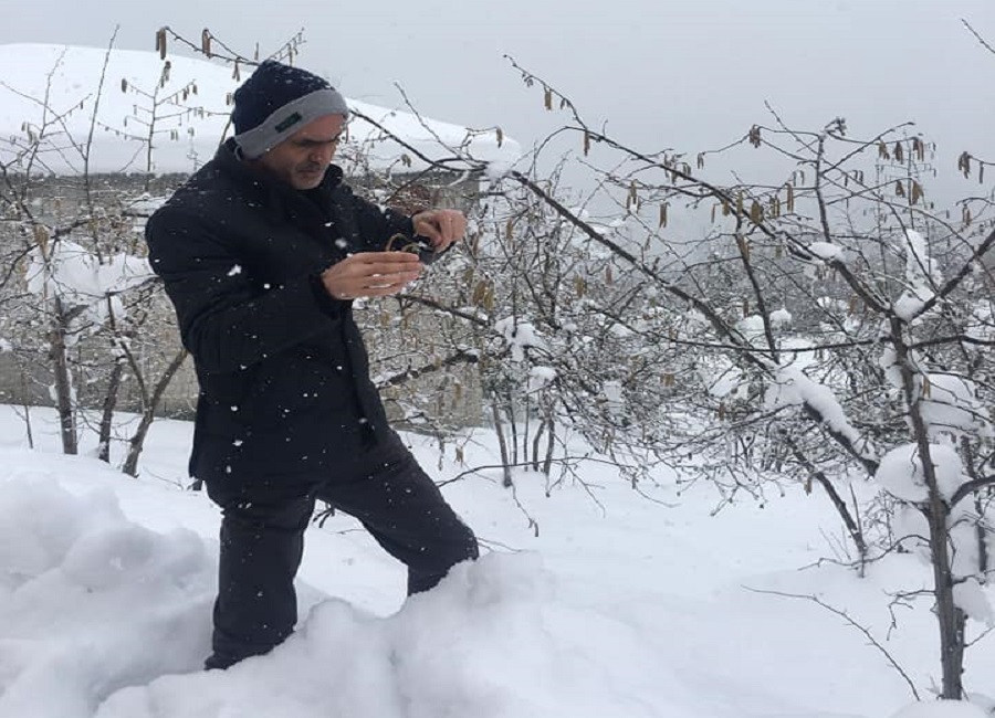 Fındık üreticisine sigorta uyarısı – Birlik Haber Ajansı