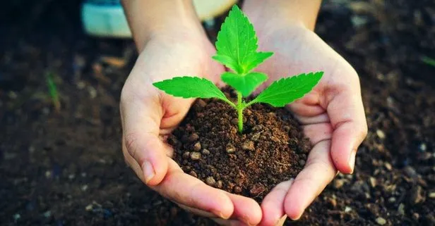 OGM, 500 milyon fidanı toprakla buluşturdu – Birlik Haber Ajansı