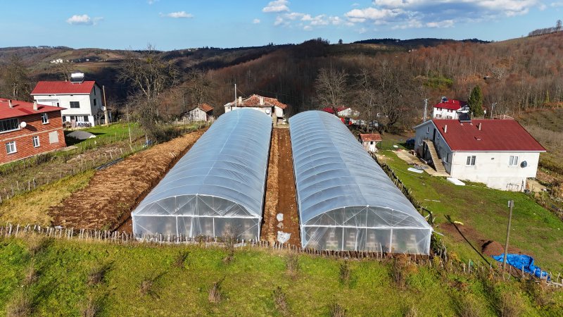 Ordu’nun örtü altı tarımına destek! – Birlik Haber Ajansı