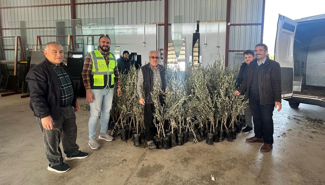 Antalya’da üreticilere fidan desteği sağlanıyor – Birlik Haber Ajansı