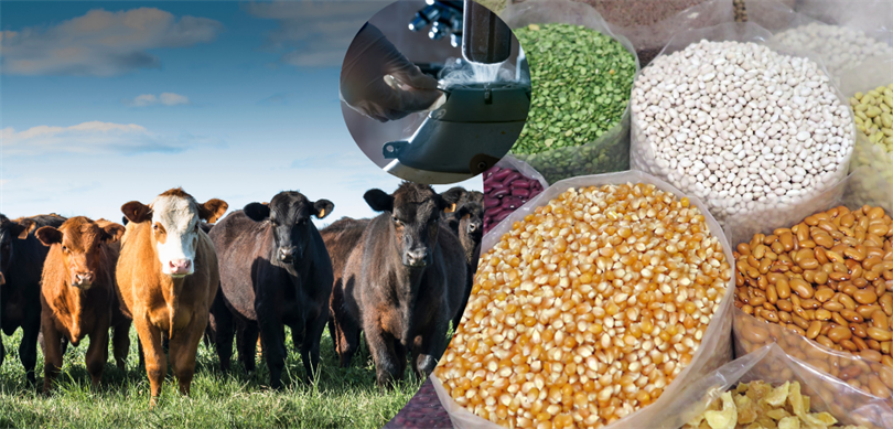 2 milyar 298 milyon tarımsal destekleme ödemesi çiftçilerin hesaplarına aktarıldı – Birlik Haber Ajansı