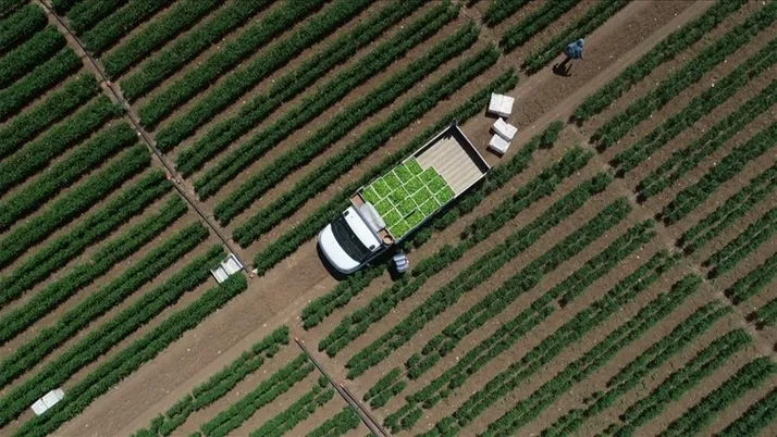 Çiftçiye 6 milyar liralık destek bugün hesaplarda – Birlik Haber Ajansı