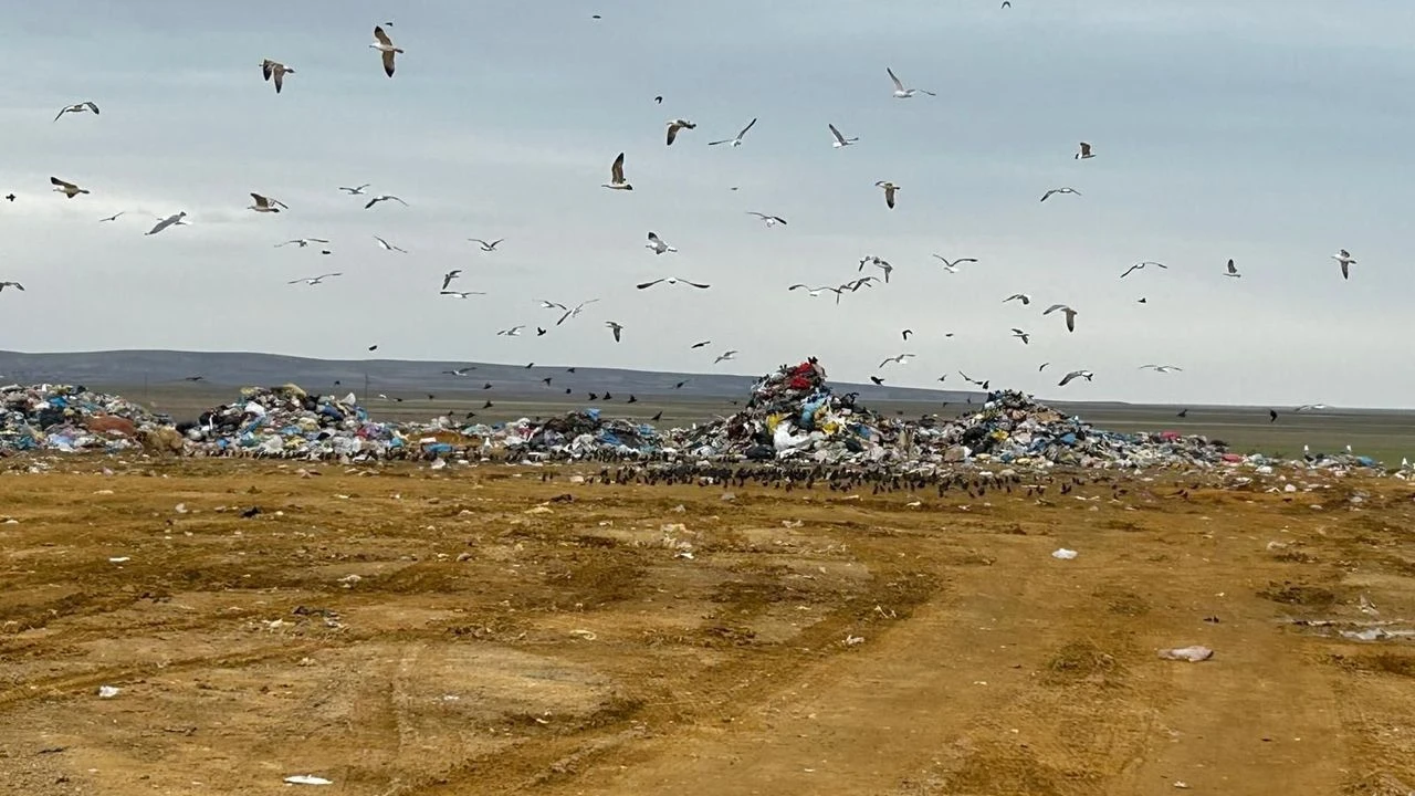 Ankara Büyükşehir Belediyesi’nin çevre ihlaline milyonluk ceza! – Birlik Haber Ajansı