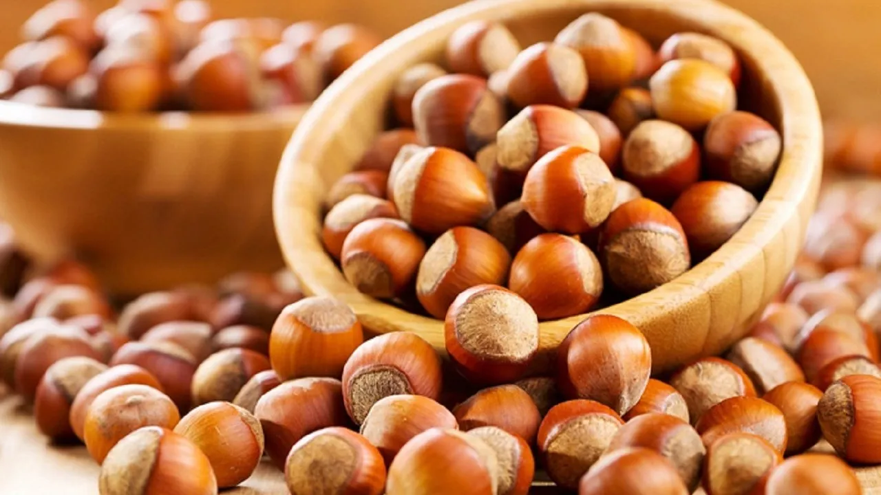 Tescilli Giresun tombul fındığında modern dikim teknikleri verimi artırdı – Birlik Haber Ajansı