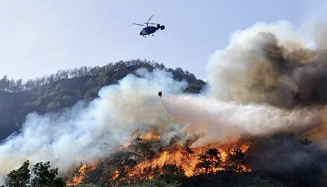 Antalya’daki orman yangını kontrol altına alındı! 2 hektar alan zarar gördü – Birlik Haber Ajansı