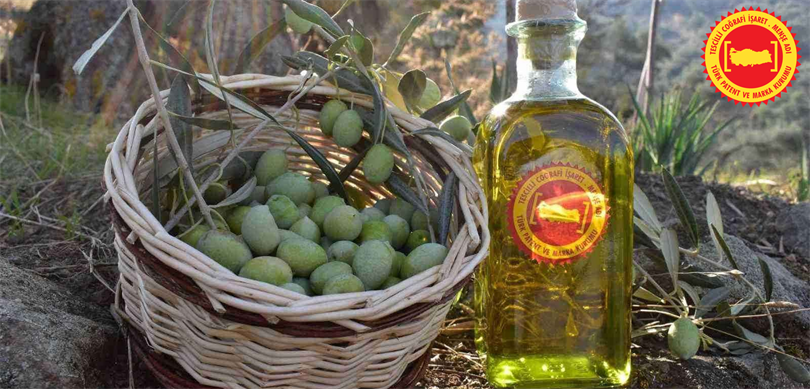 Aydın Memecik Zeytini, Avrupa Birliğinden Tescil Aldı – Birlik Haber Ajansı