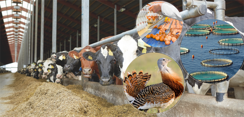 Tarım Bakanlığından, 188 Milyon Avro Tarımsal Hibe Desteği Verilecek – Birlik Haber Ajansı