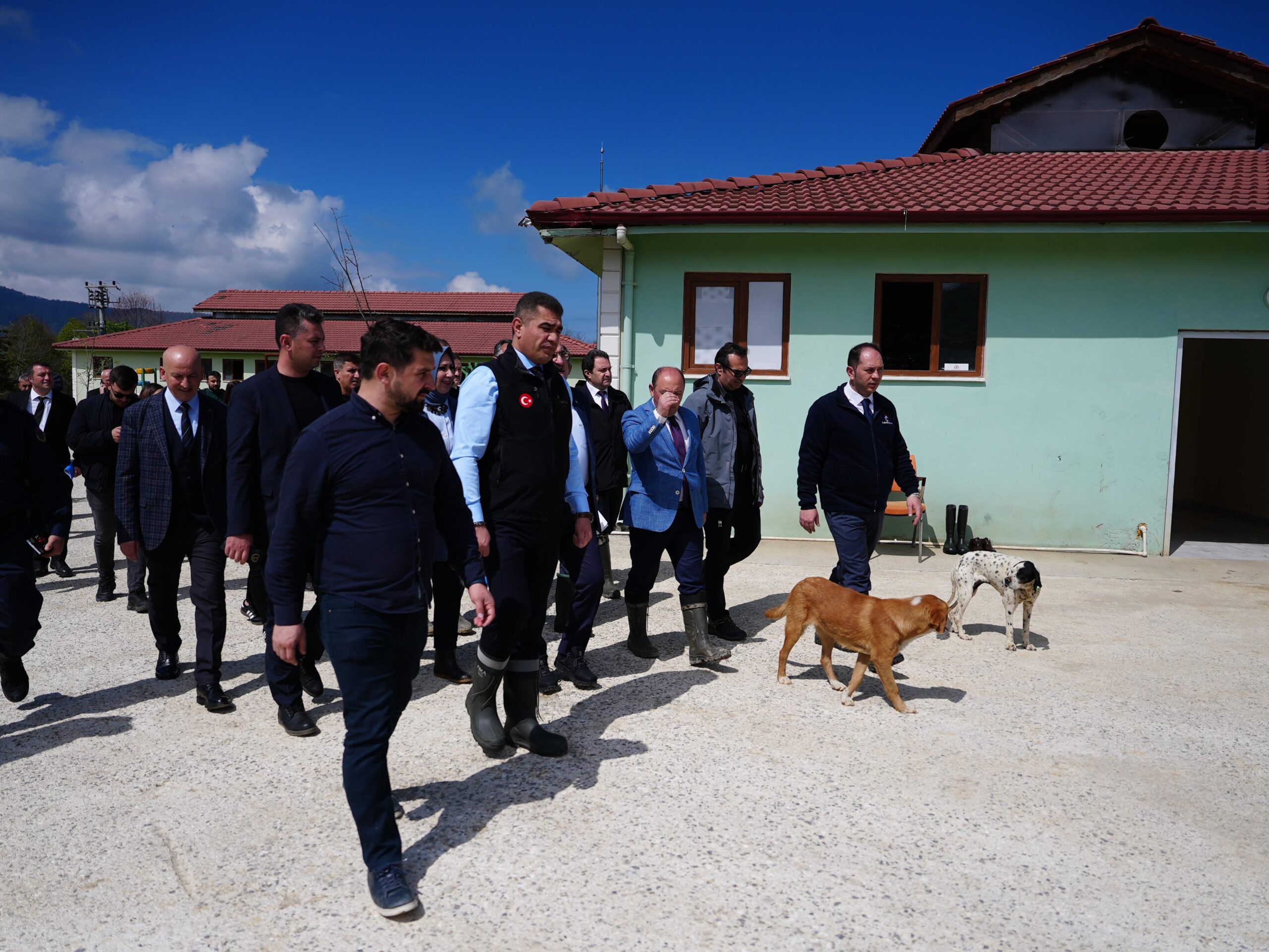 Bakan Yardımcısı Karaloğlu, Düzce’de “Hayvan Konukevi”ni inceledi – Birlik Haber Ajansı