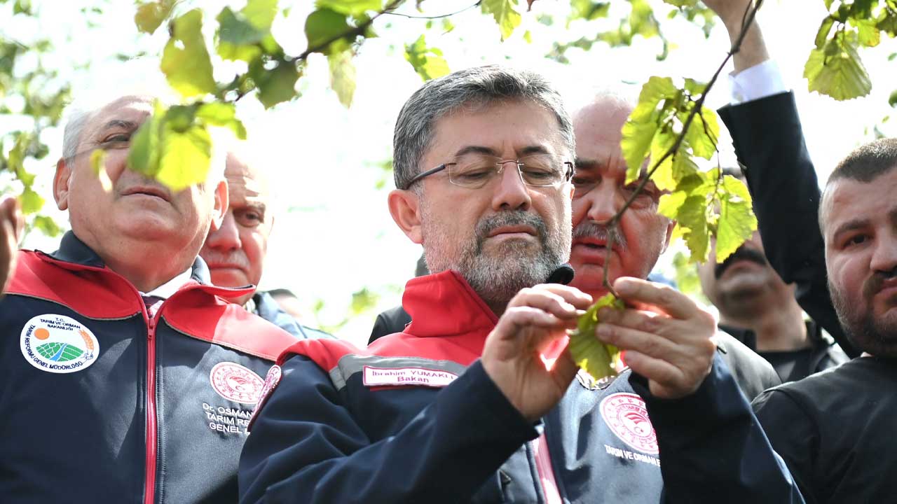 Tarım Bakanı Yumaklı: Zirai don sebebiyle stratejik ürünlerde sıkıntı yok – Birlik Haber Ajansı