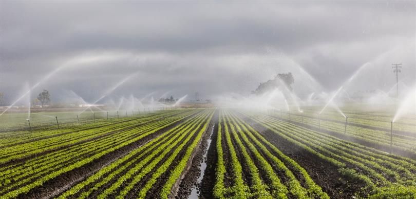 DSİ’den Yapay Zeka Destekli Sulama – Birlik Haber Ajansı
