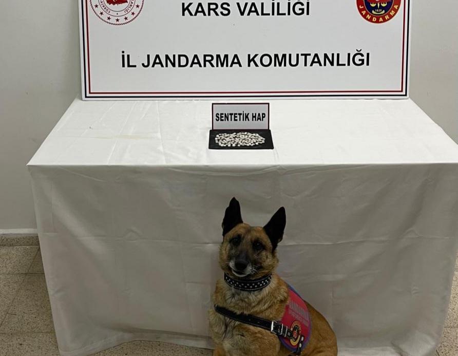 Kars’ta “Tabla” narkotik köpeği yine geçit vermedi – Birlik Haber Ajansı