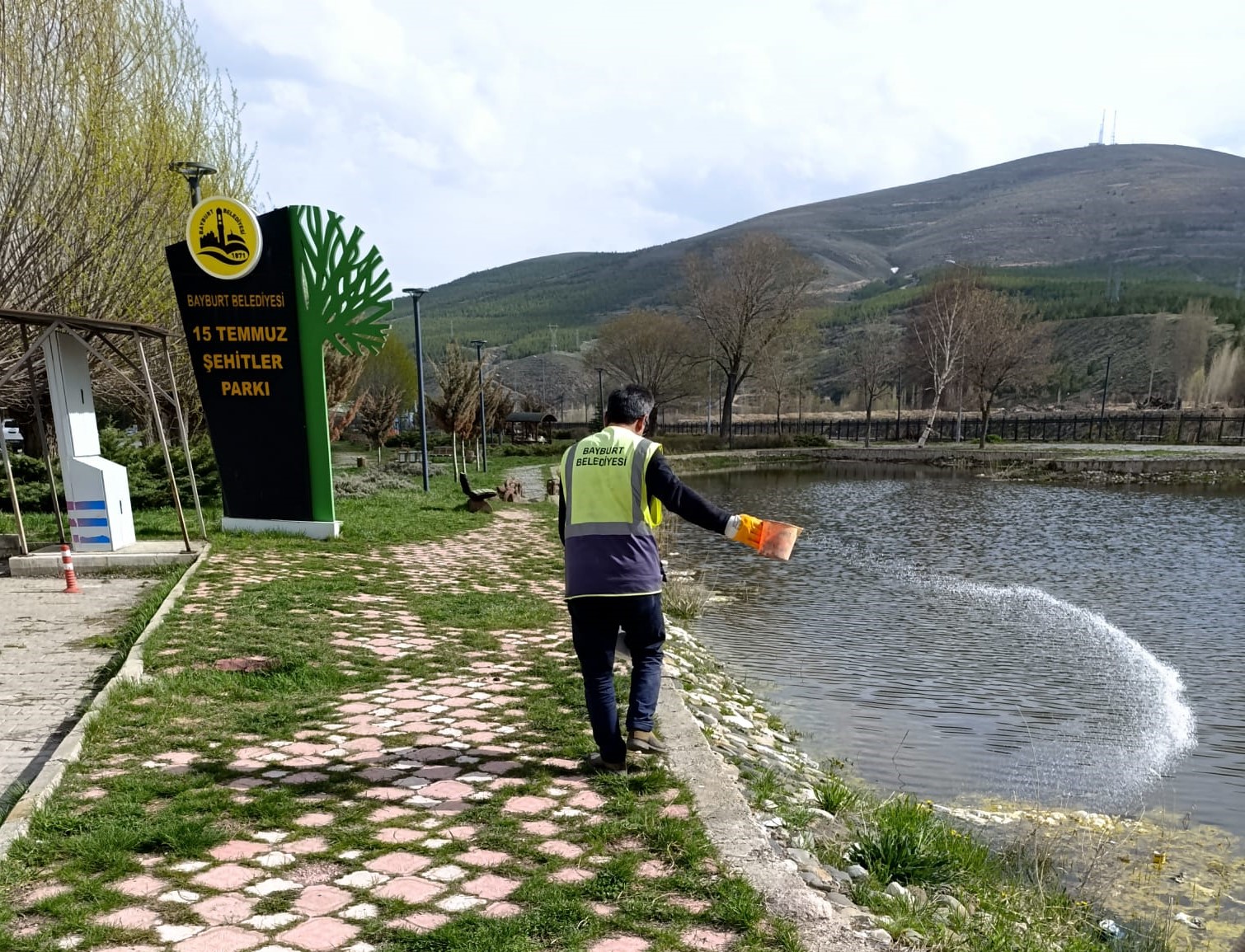 Bayburt’ta larvalarla mücadele başladı – Birlik Haber Ajansı