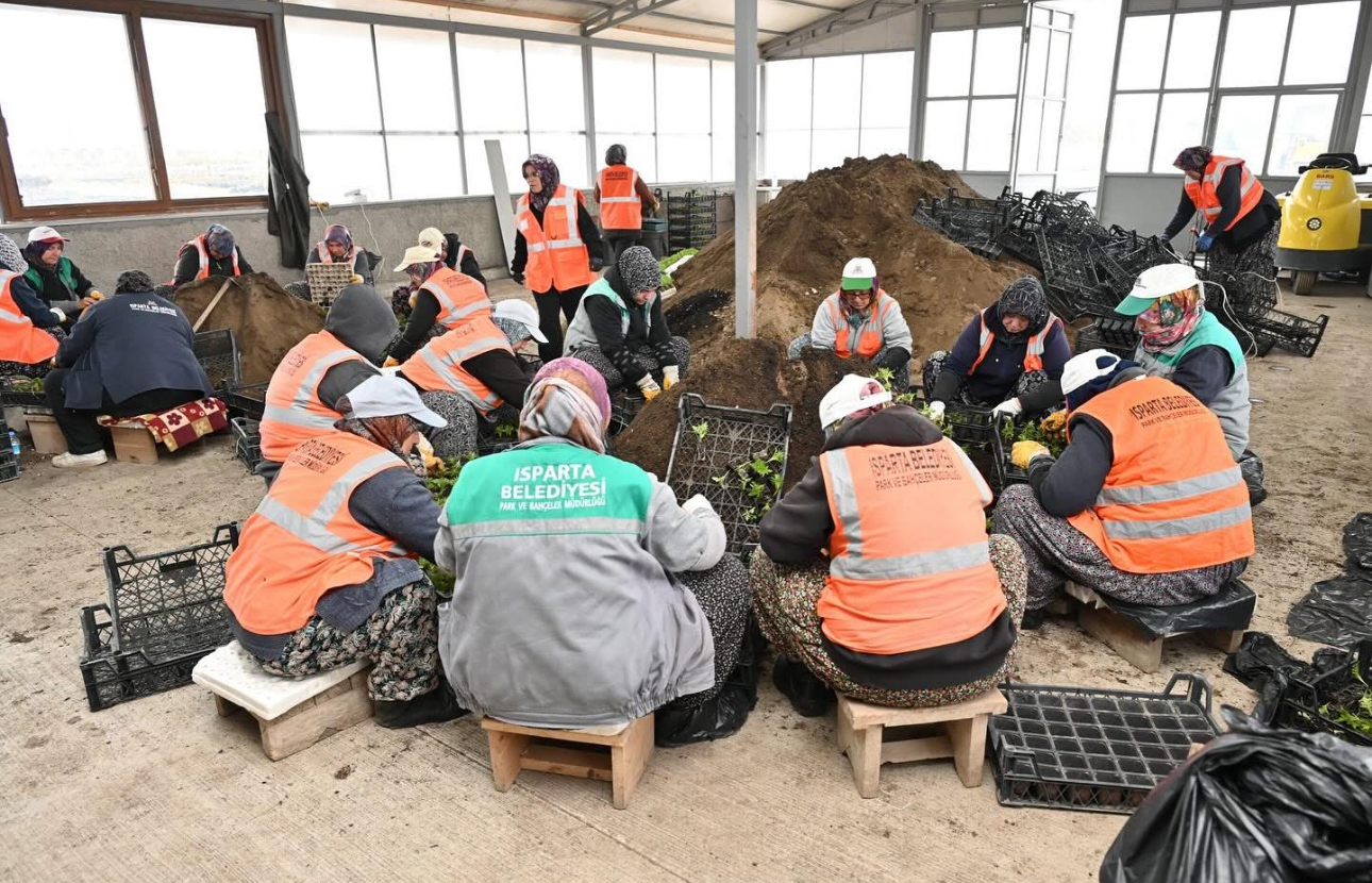Isparta Belediyesi, mevsimlik çiçekleri kendi seralarında yetiştiriyor – Birlik Haber Ajansı