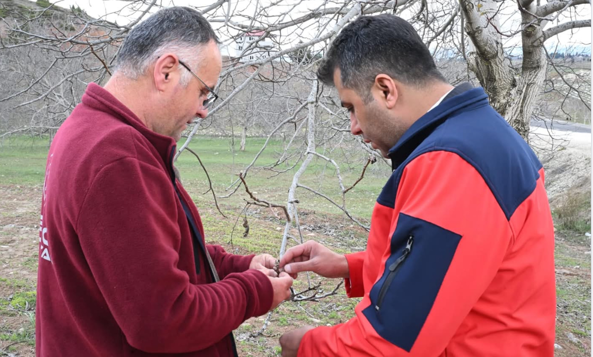 Meteoroloji’den Antalya’da sarı kodlu uyarı! Bu gece nöbet var – Birlik Haber Ajansı
