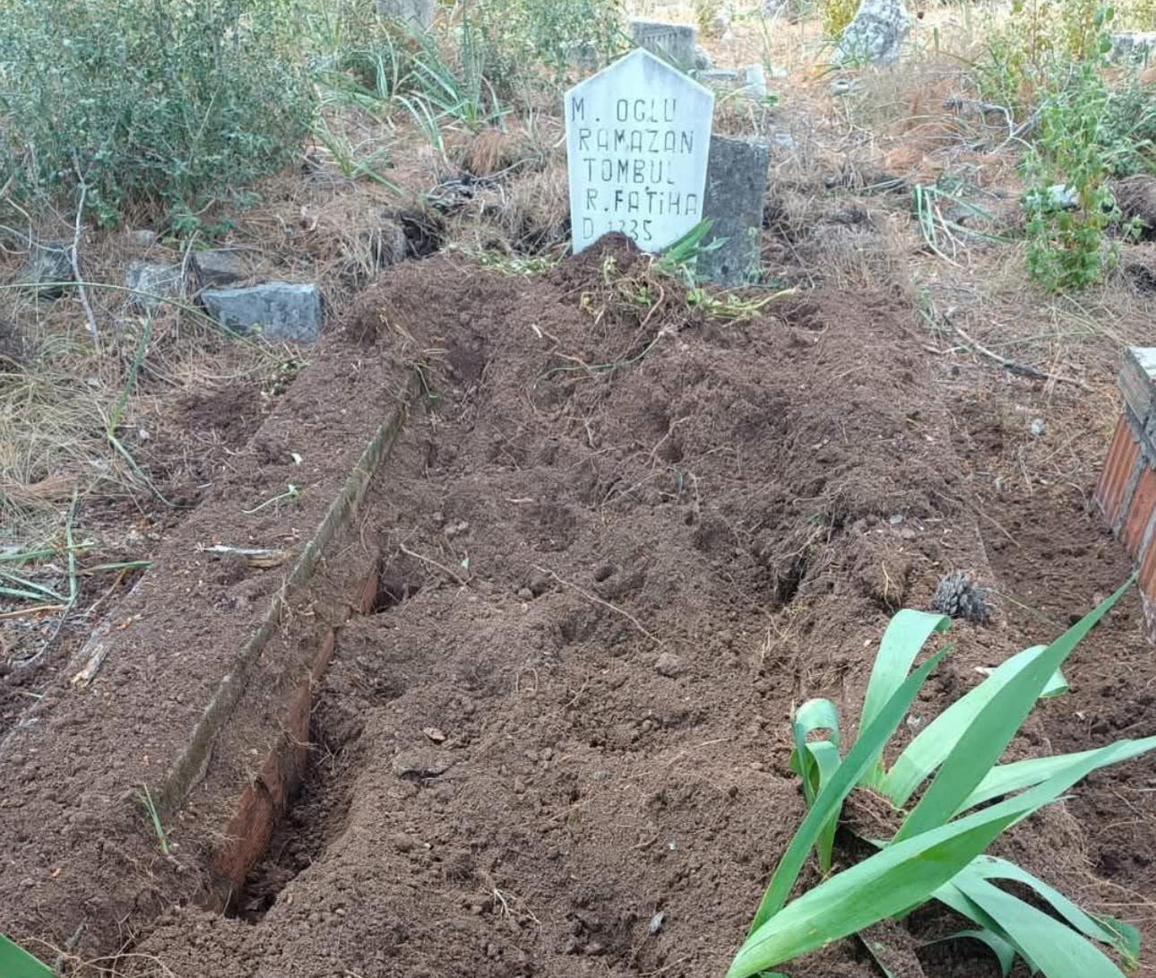 Antalya’da yaban domuzları mezarlığa zarar verdi: Mahalle sakinlerinden önlem talebi – Birlik Haber Ajansı