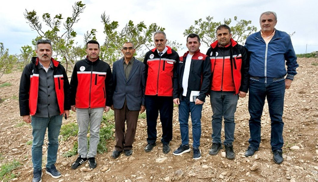 Batman fıstığında verimlilik hamlesi – Birlik Haber Ajansı