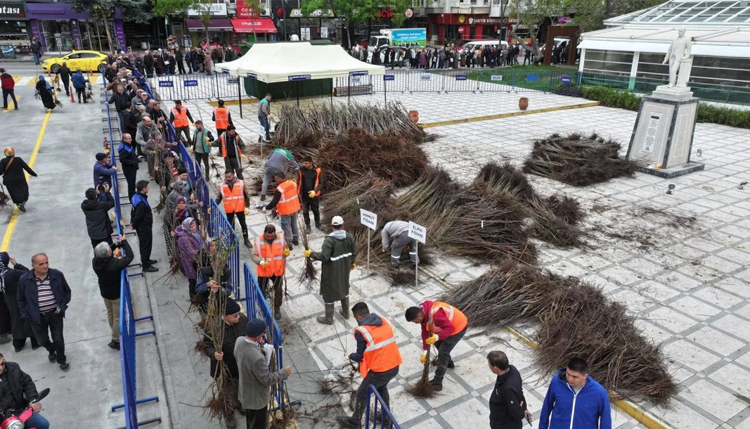 Isparta Belediyesi fidan dağıtımına devam ediyor – Birlik Haber Ajansı