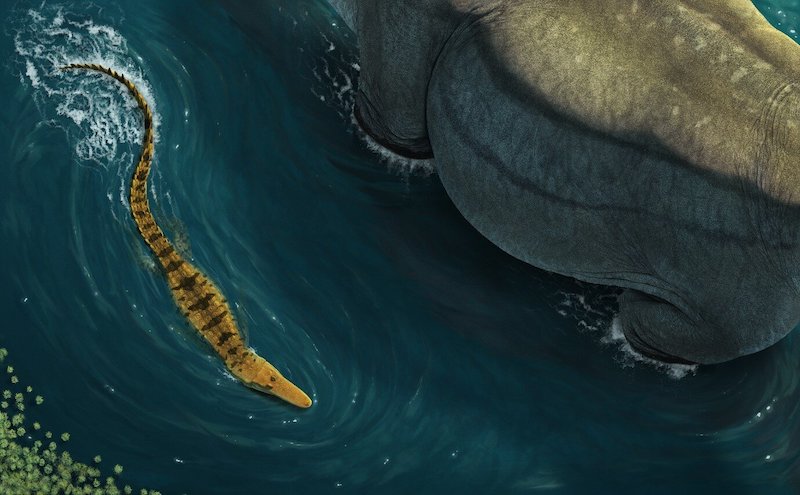 Dinozor avcısı timsah Deinosuchus’un gizemi çözüldü – Birlik Haber Ajansı