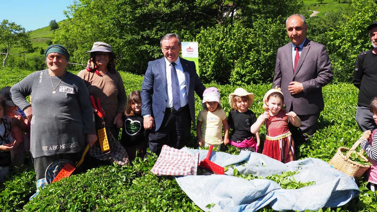 ÇAYKUR geleneği sürdürdü, minikler çay hasadında makas salladı – Birlik Haber Ajansı