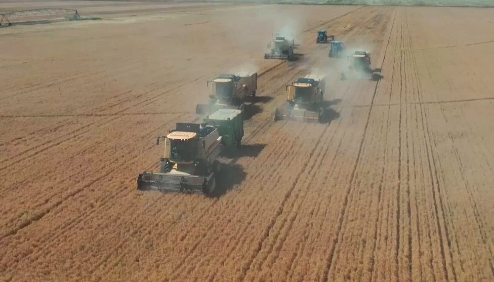 Şanlıurfa Ceylanpınar’da yılın ilk hasadı – Birlik Haber Ajansı