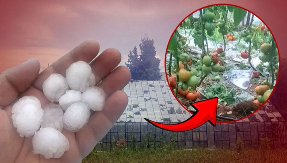 Antalya’da ceviz büyüklüğünde dolu tarım alanlarını vurdu – Birlik Haber Ajansı