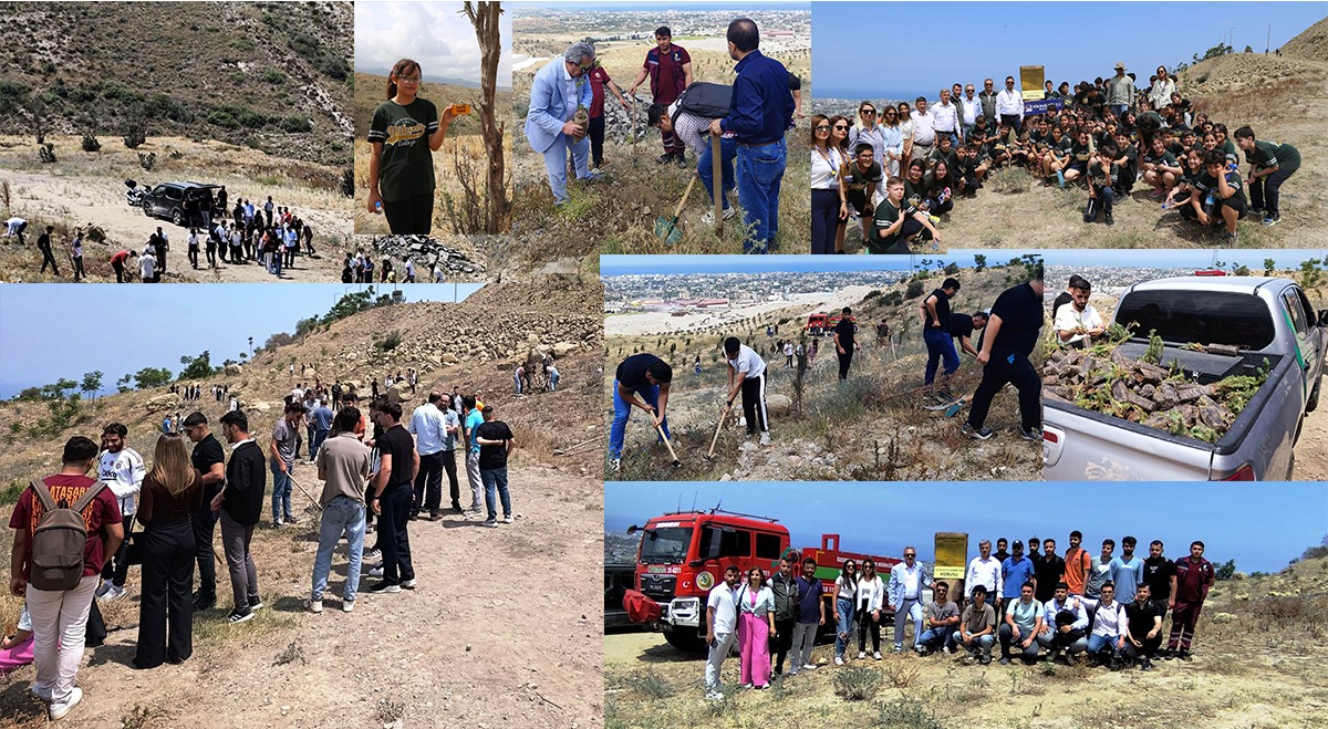 Deprem şehitleri fidanlarda yaşıyor – Birlik Haber Ajansı