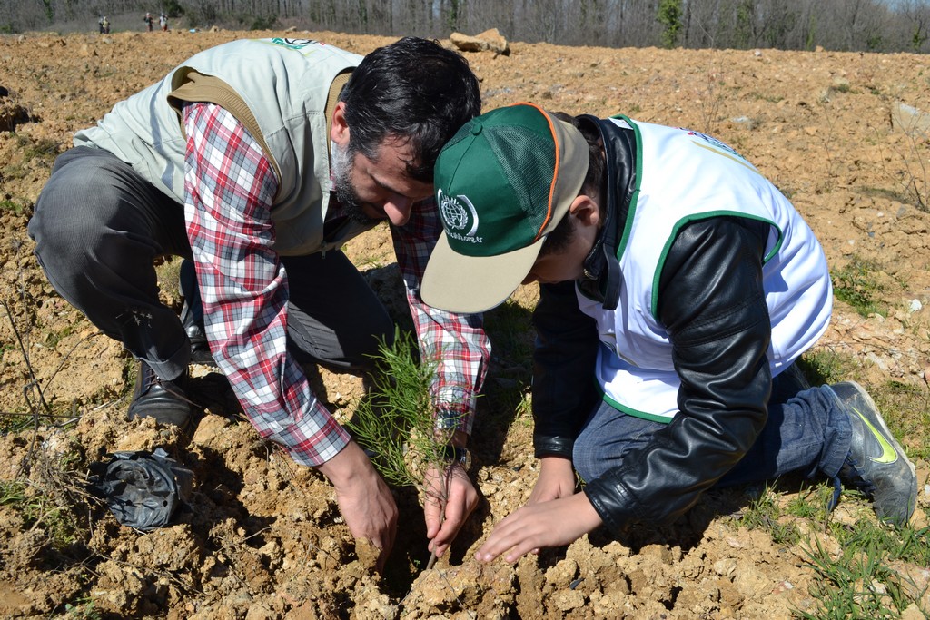 İHH yetimler için 160 bin fidan dikti – Birlik Haber Ajansı