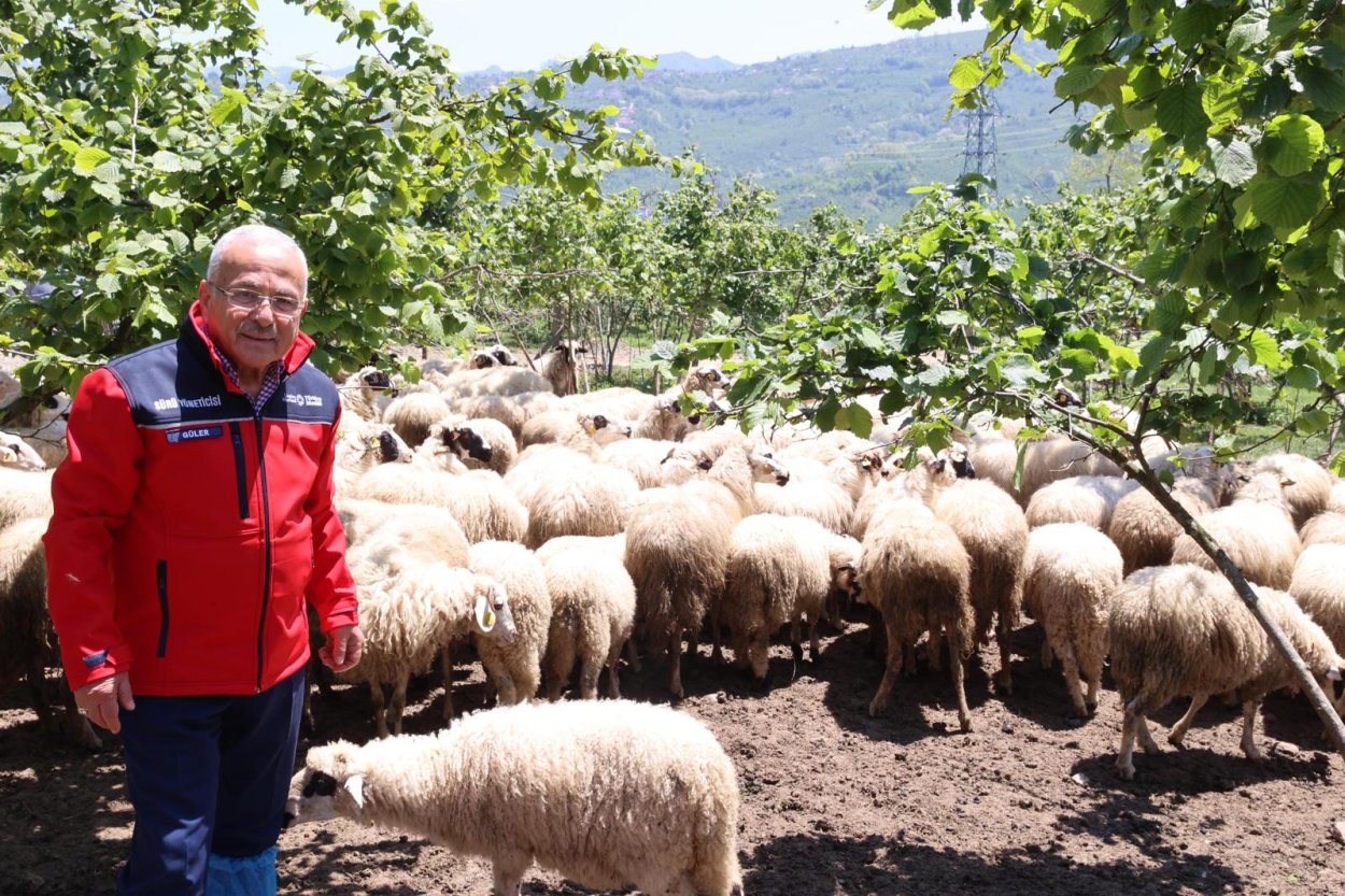 Başkan Güler: Dağıtımını yaptığımız hayvanları kendimiz yetiştiriyoruz – Birlik Haber Ajansı