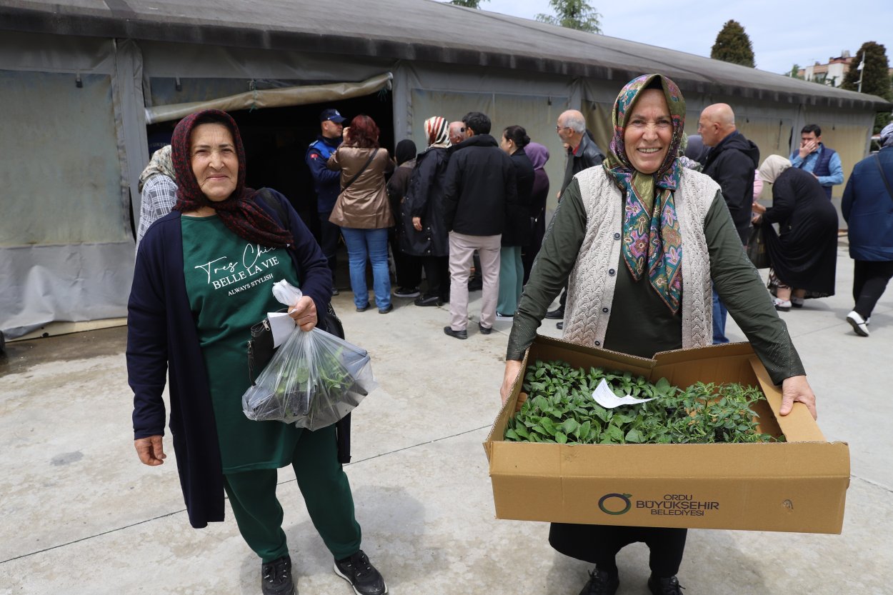Ordu Büyükşehir Belediyesi’nin fide dağıtımına üreticilerden yoğun ilgi – Birlik Haber Ajansı