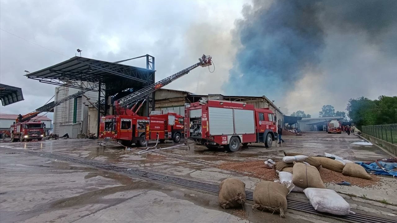 Son dakika… Sakarya’da fındık fabrikasında yangın – Birlik Haber Ajansı