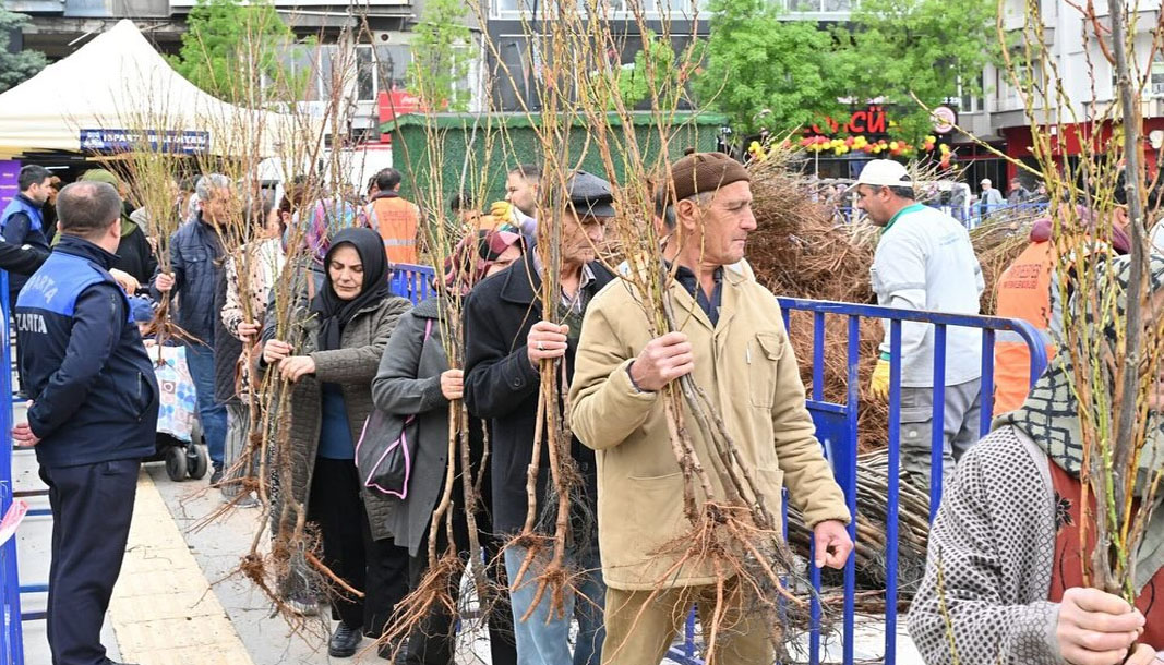 Isparta Belediyesi ücretsiz fidan dağıtımı yapacak – Birlik Haber Ajansı