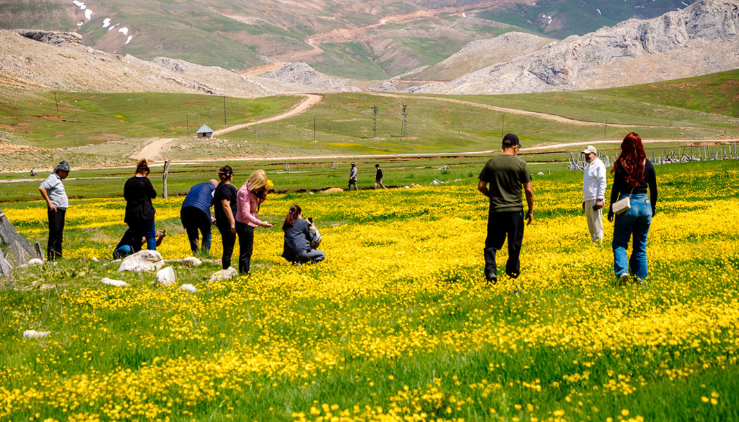 Alanya basını doğa ve kültürle bütünleşti! – Birlik Haber Ajansı
