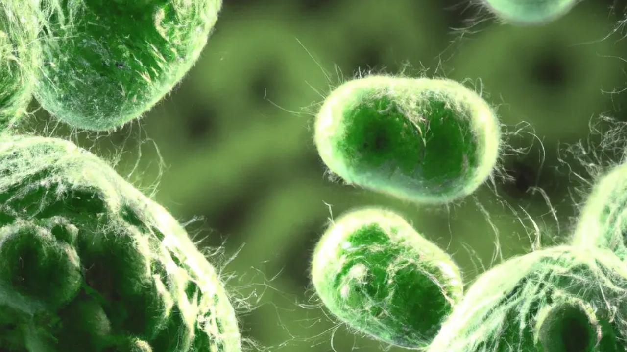 Süper bakteriye karşı umut: Yeni antibiyotik insan denemelerinde son aşamaya geçti – Birlik Haber Ajansı