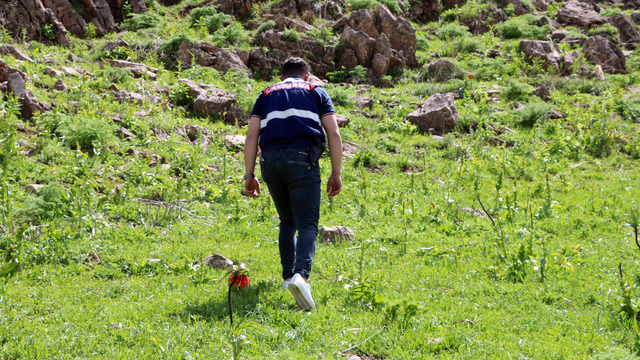 Ters Laleleri Jandarmalar Koruyor – Birlik Haber Ajansı