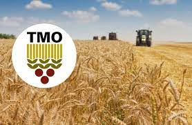 Haşhaş kapsülü ve tohumu ticaretinde yetki artık TMO’da – Birlik Haber Ajansı