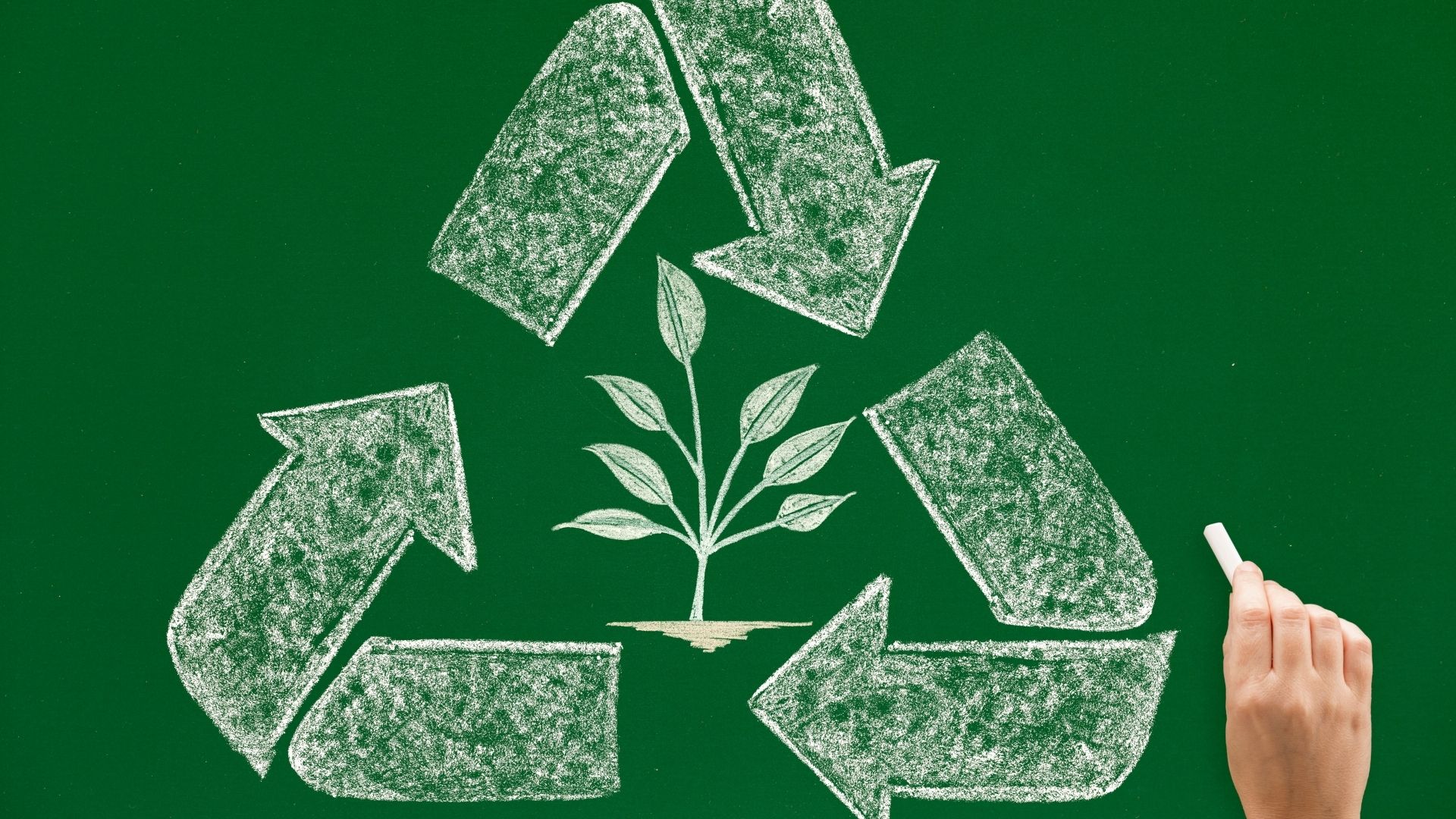 “Atma, dönüştür!” projesiyle çevre bilinci kazanıyorlar – Birlik Haber Ajansı