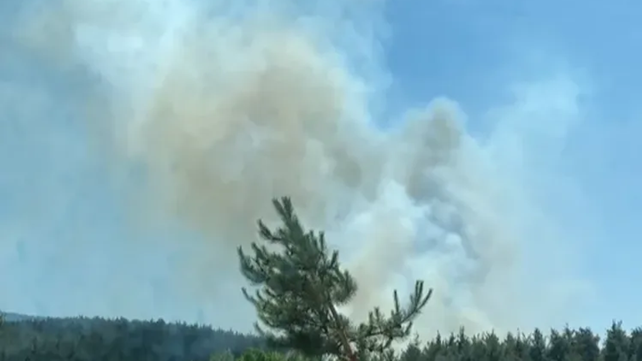 Antalya’da Alanya ve Aksu’da orman yangını: Müdahale sürüyor – Birlik Haber Ajansı
