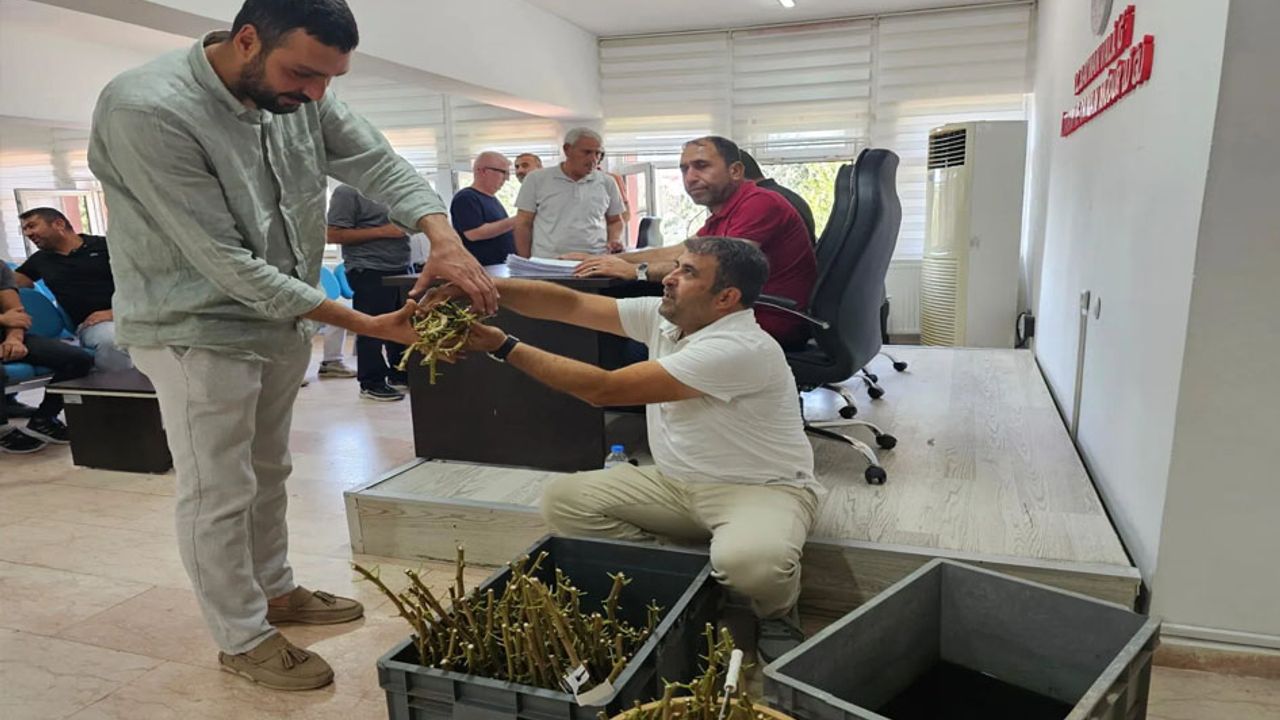 Batmanlı fıstık üreticilerine verim artıracak aşı desteği! – Birlik Haber Ajansı