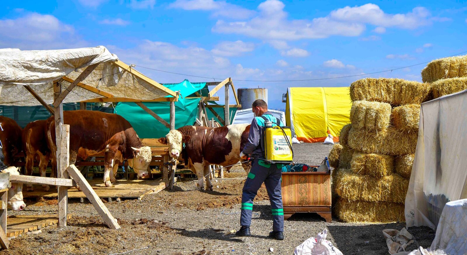 Başkent’te öncelik halk sağlığı – Birlik Haber Ajansı
