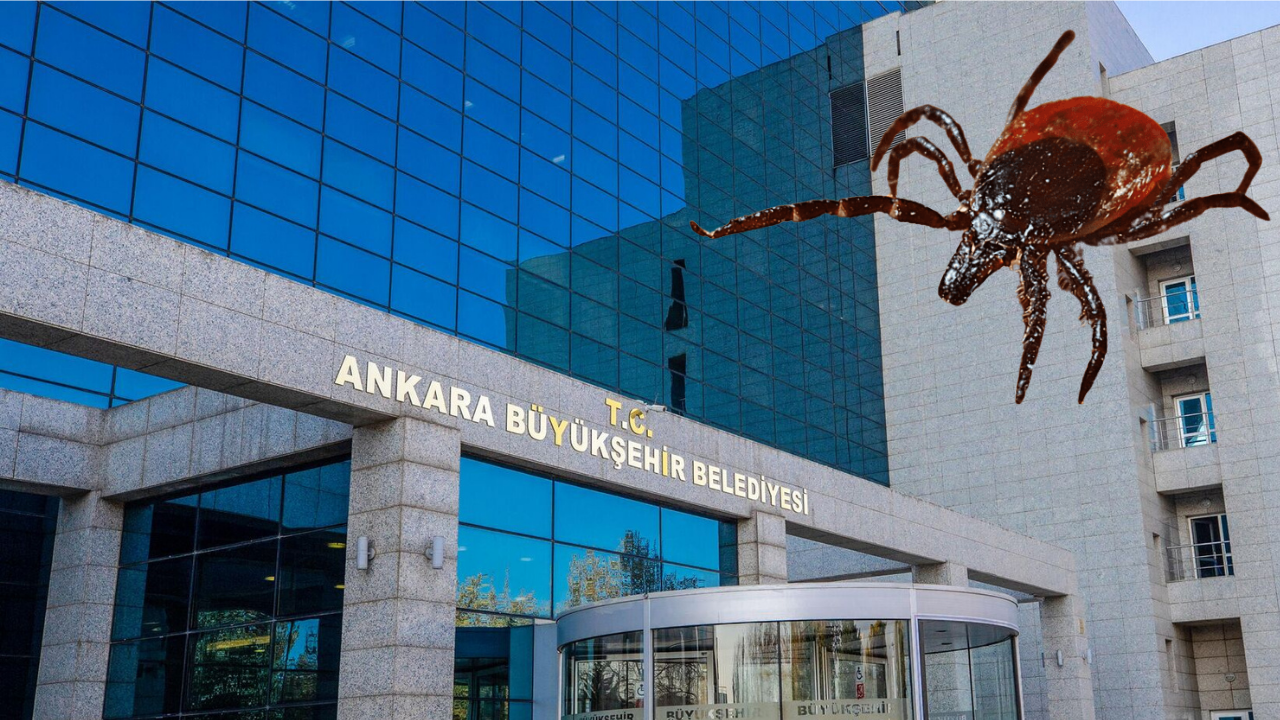 Ankara Büyükşehir’den kene uyarısı: Yeşil alanlara gidenler dikkat! – Birlik Haber Ajansı