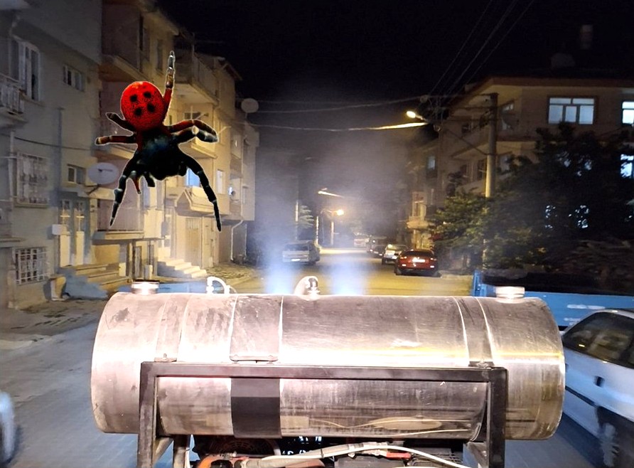 Afyonkarahisar Çay’da görülen bu zehirli böceğe dikkat! – Birlik Haber Ajansı