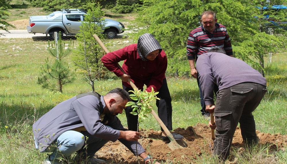 İbradı’da şehitler için fidan dikildi – Birlik Haber Ajansı